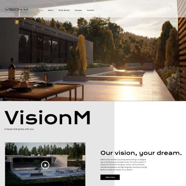 Vision M